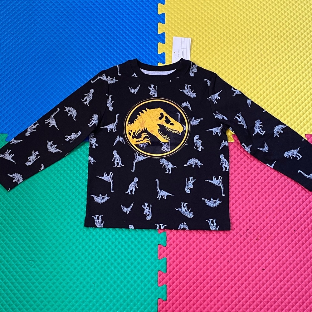 Boy clothes Jurassic world dinosaur shirt size 5